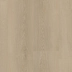 LVT Assisi
