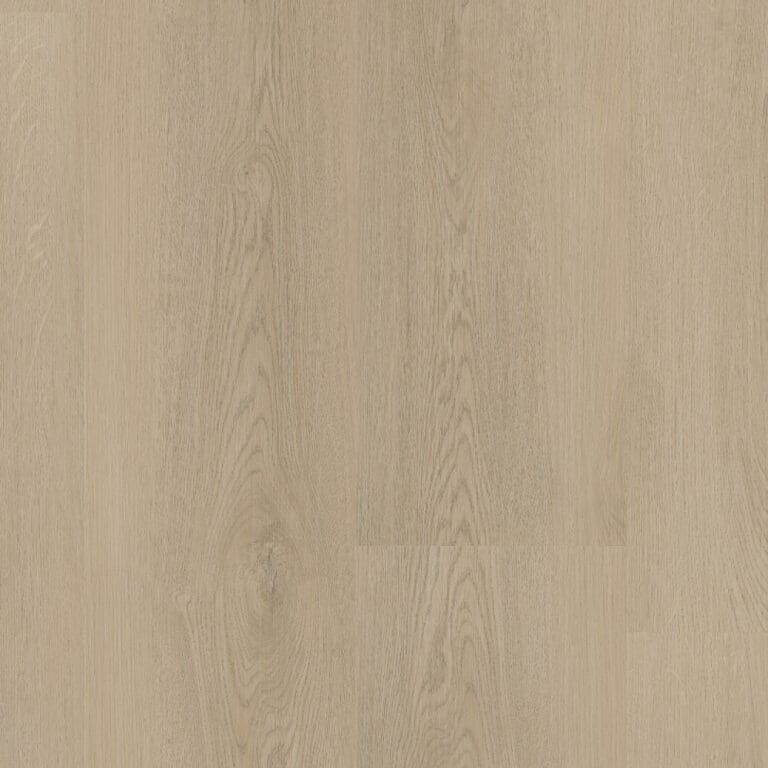 LVT Assisi
