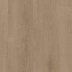 LVT Assisi