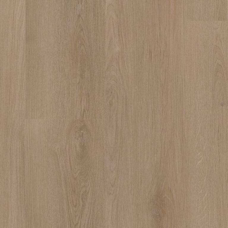 LVT Assisi