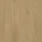 LVT Assisi