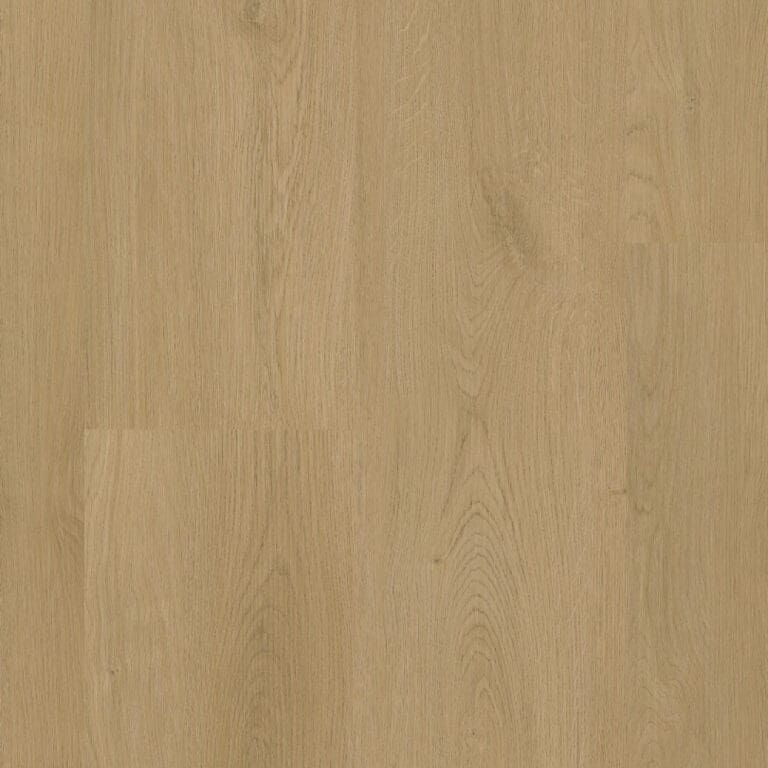 LVT Assisi