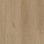 LVT Assisi