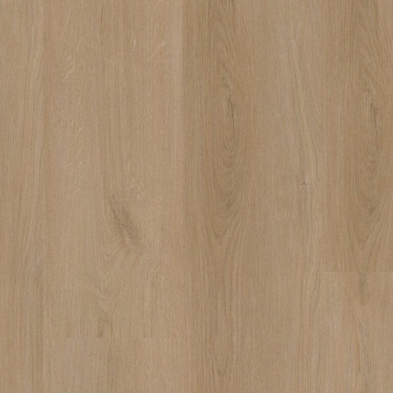 LVT Assisi