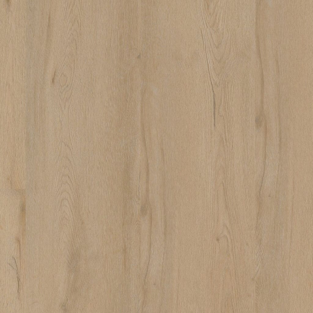 LVT Barcelona