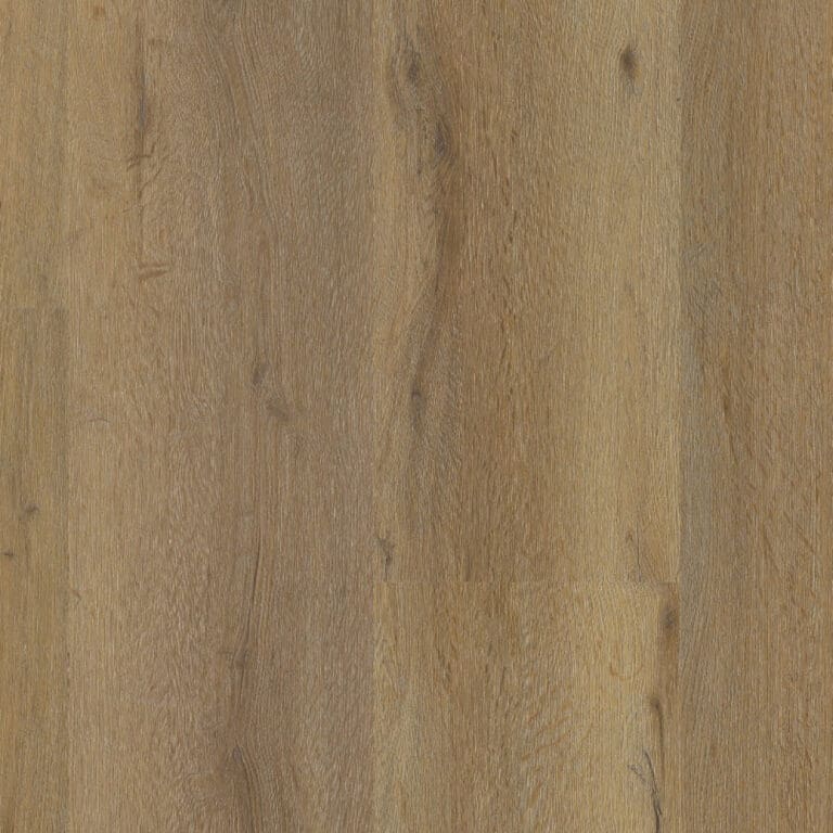 LVT Barcelona