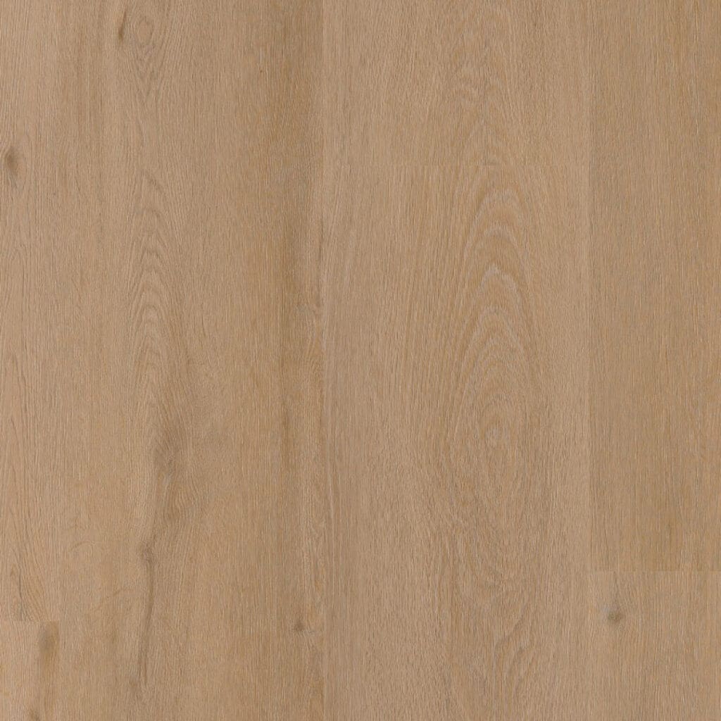 LVT Barcelona