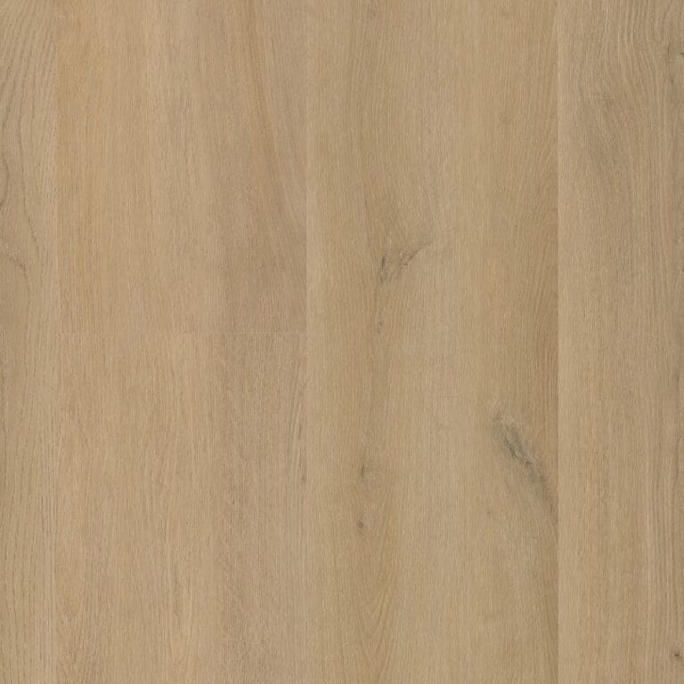 LVT Lisbon