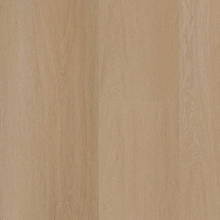 LVT Paris