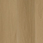 LVT Paris