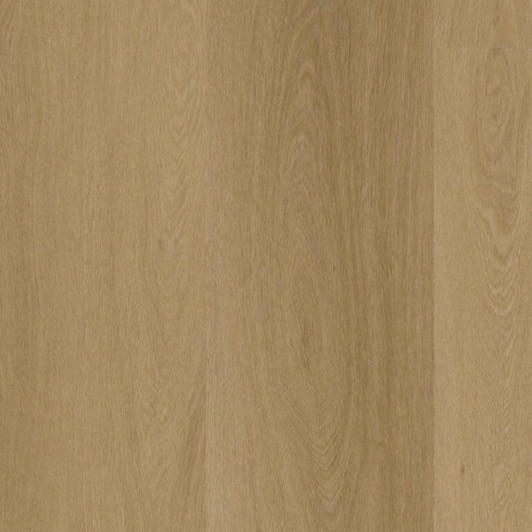 LVT Paris