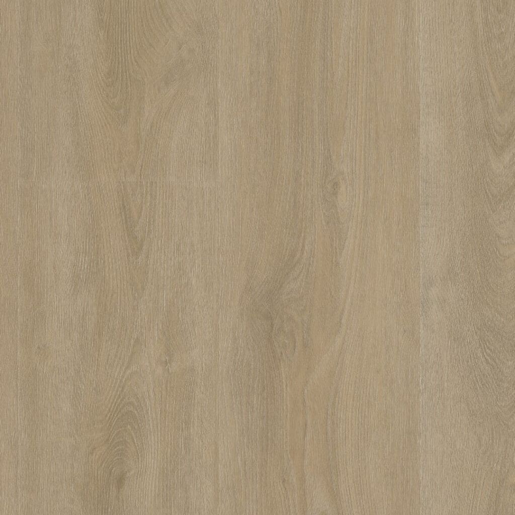 LVT Utrecht