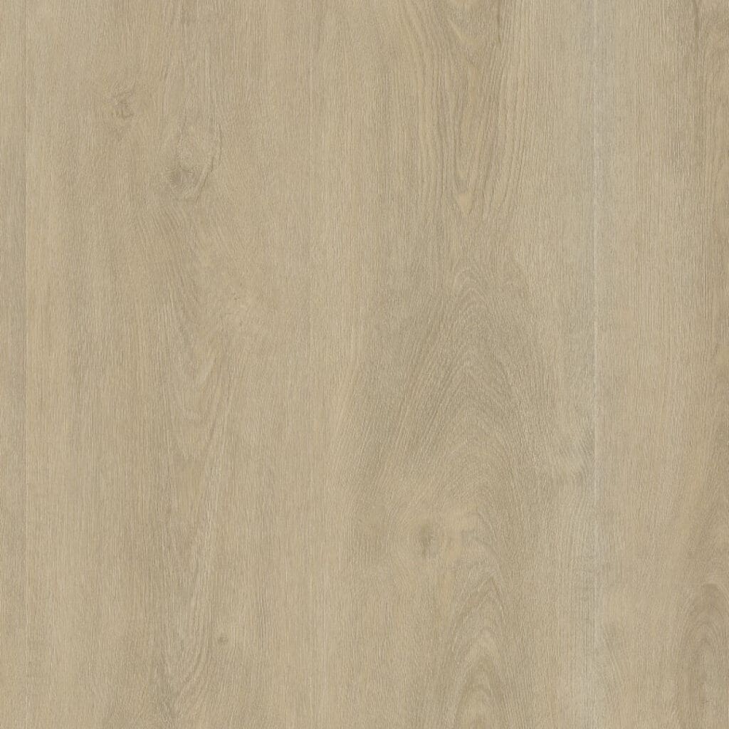 LVT Utrecht