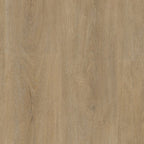 LVT Utrecht